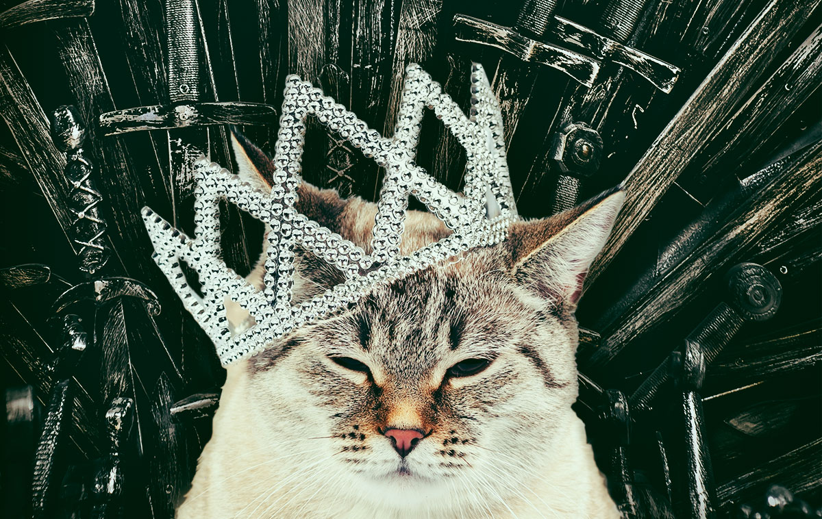 Game of Thrones premiered on April 17, 2011.
