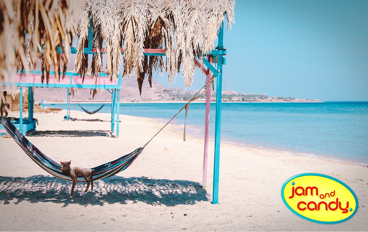 National Hammock Day