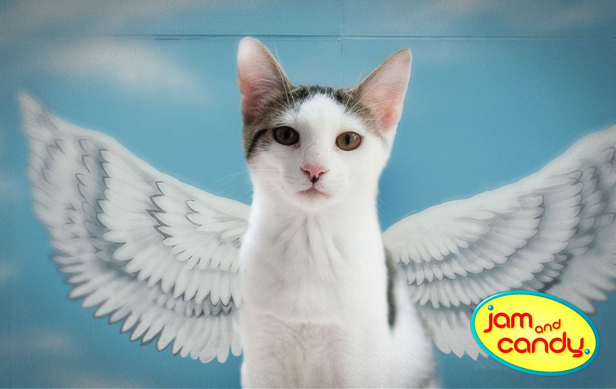 Be An Angel Day