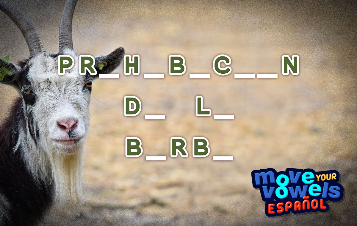 Move Your Vowels en Español