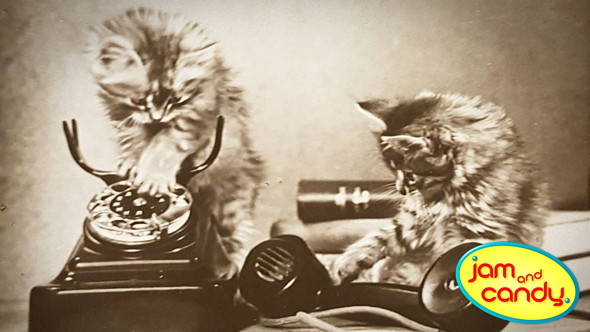 Can you hear meow?