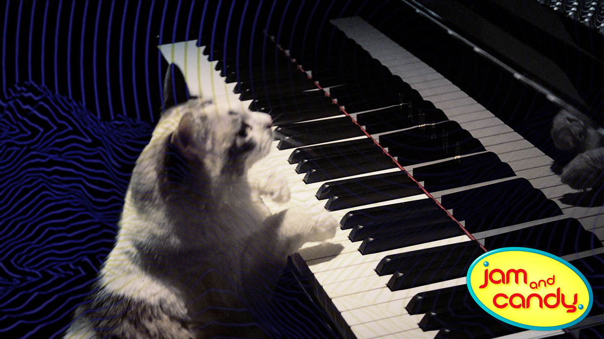 All you cool cats and kittens