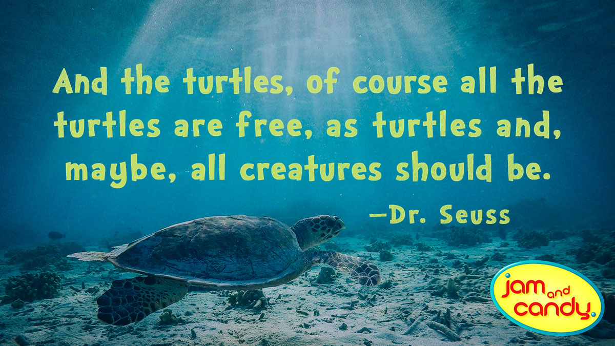 World Turtle Day