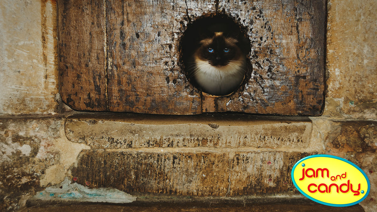 The first urban legend?