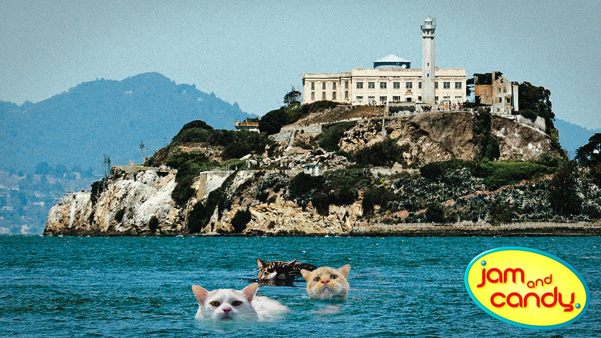 Alca-catz