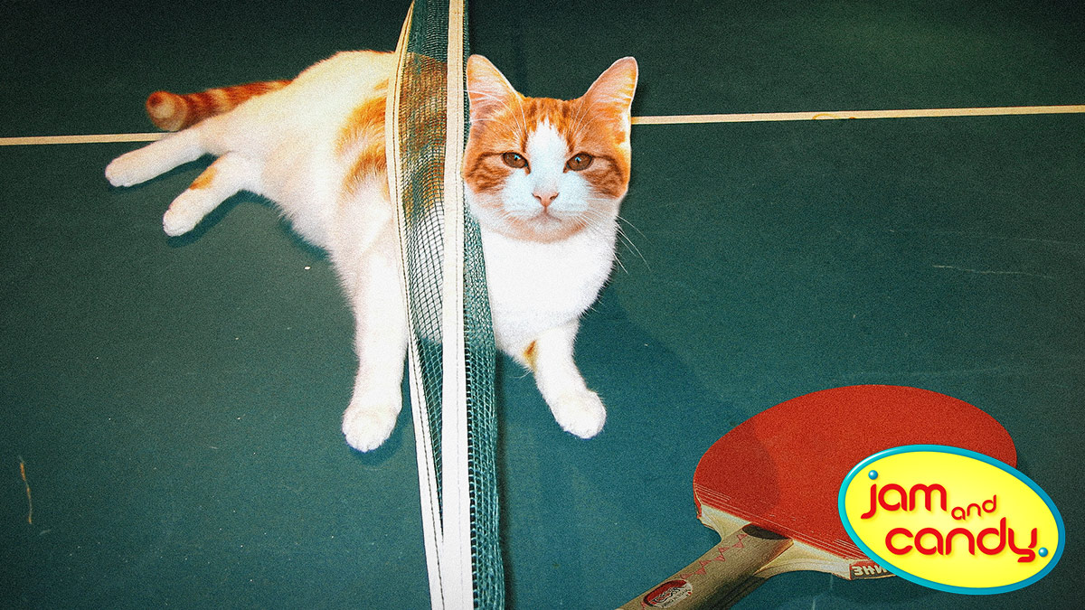 A game of cat and mouse