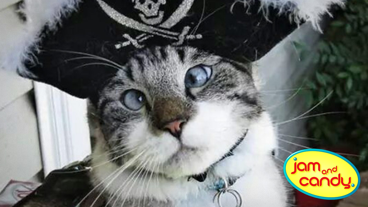 It's Mew-tany!