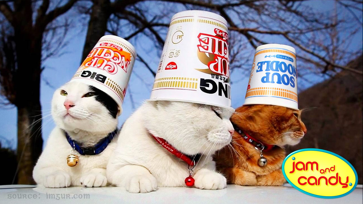 Paw-some