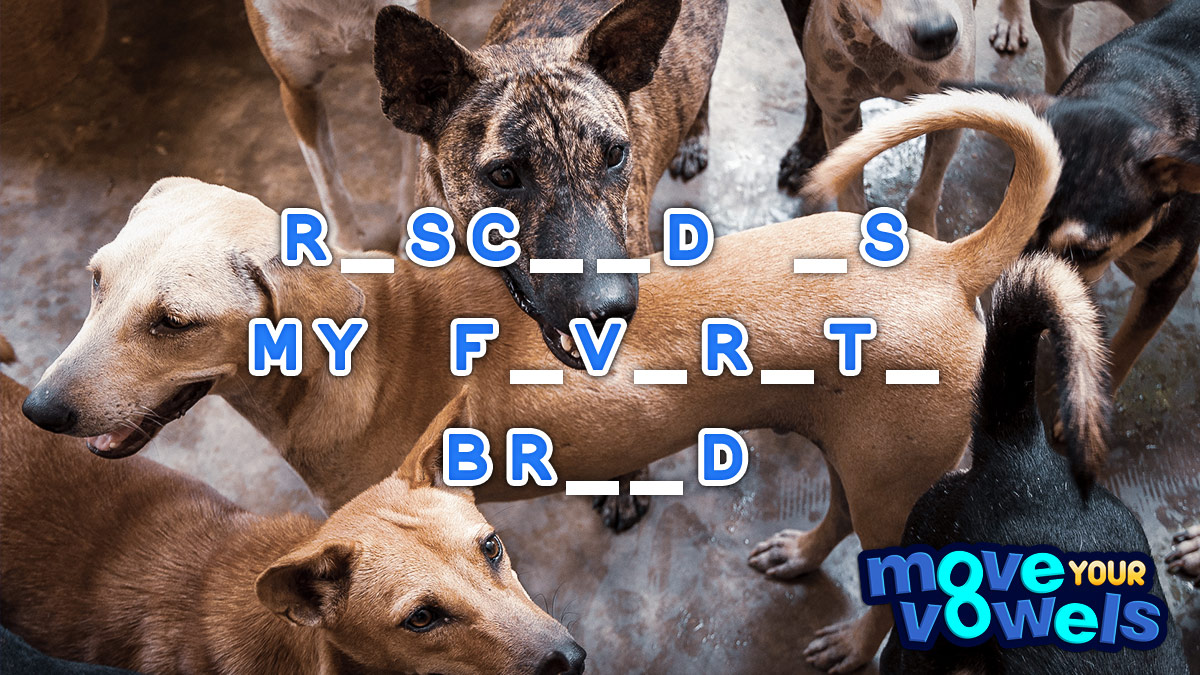 Move Your Vowels Mini