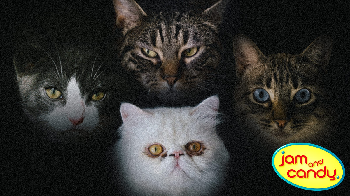 Mamma Meow!