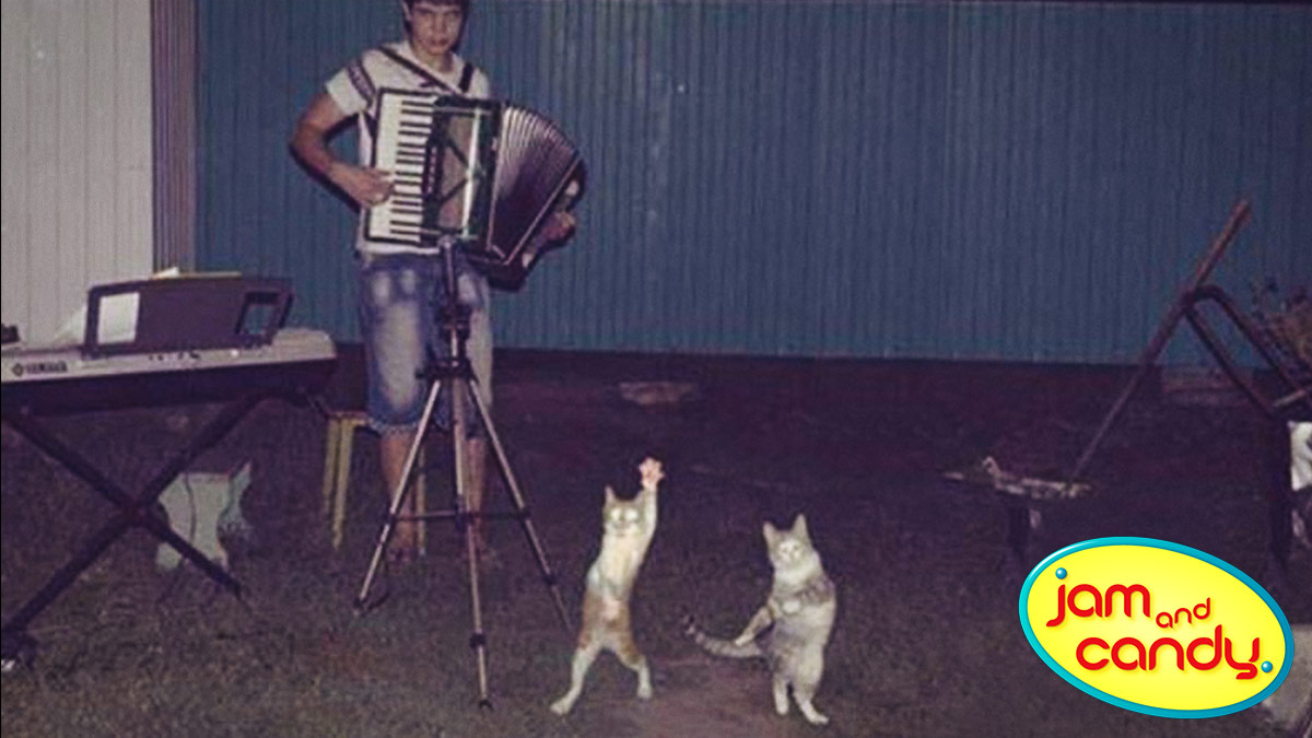 Polka Cat