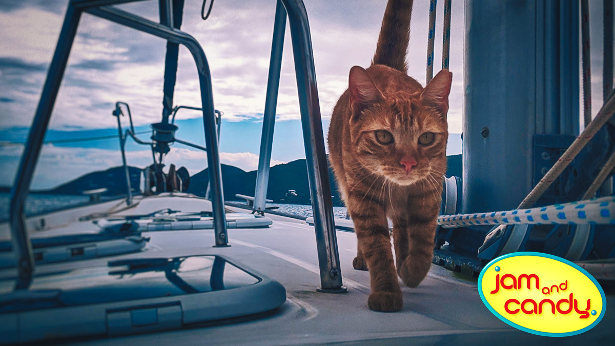 Cat-amaran