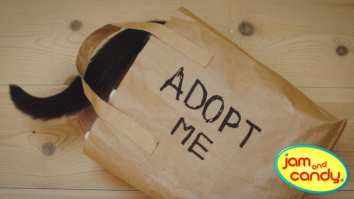 Adopt don't shop