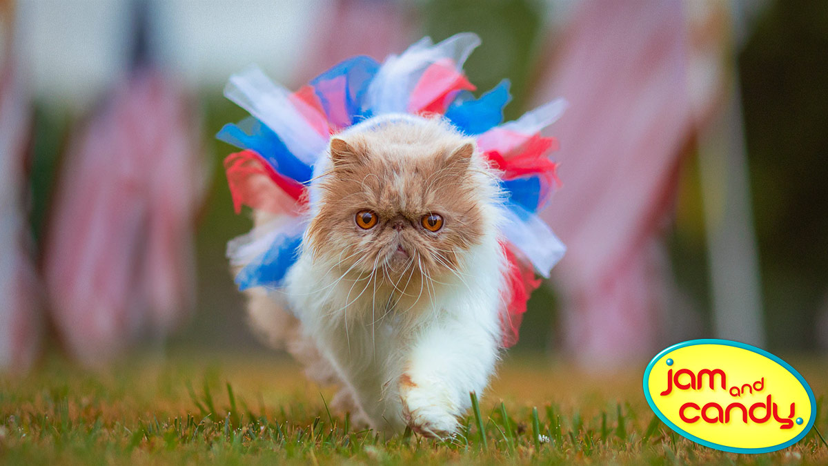Independence Day