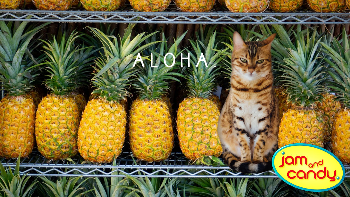 Meowi Waui
