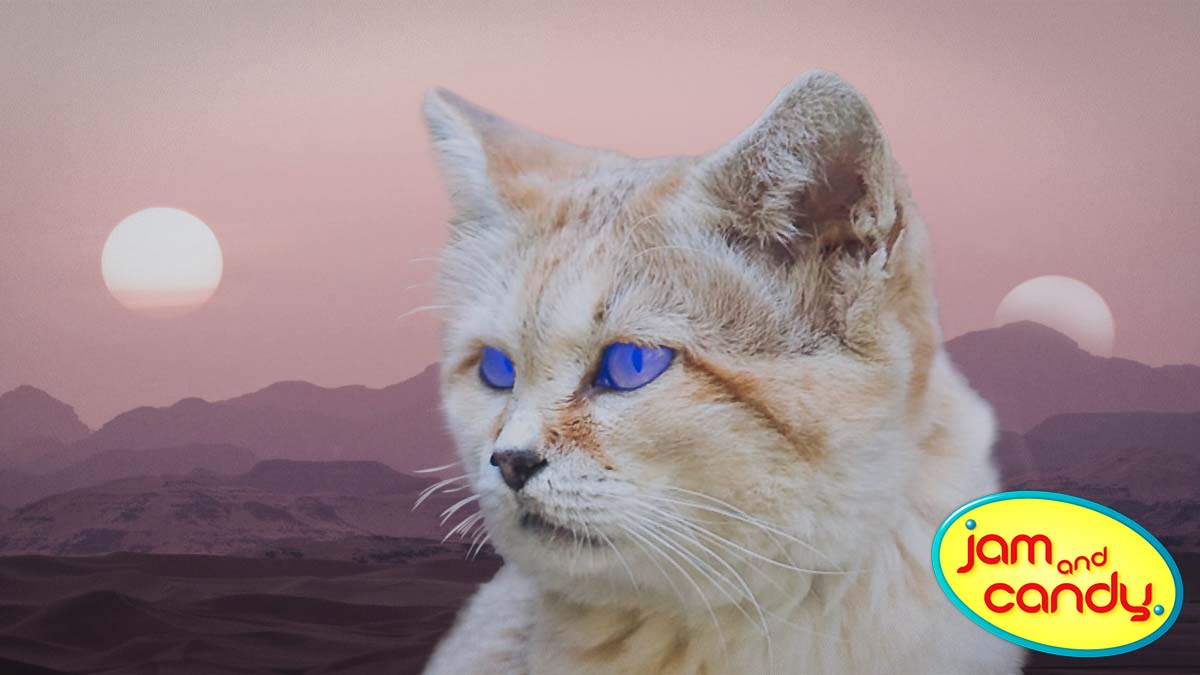 Lost sci-fi novel: Fur Babies of Dune