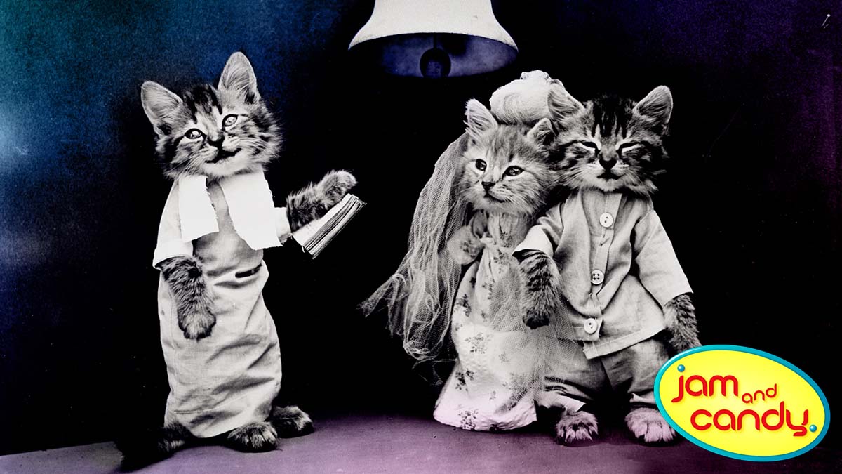 Six Thousand Purr-fect Matches