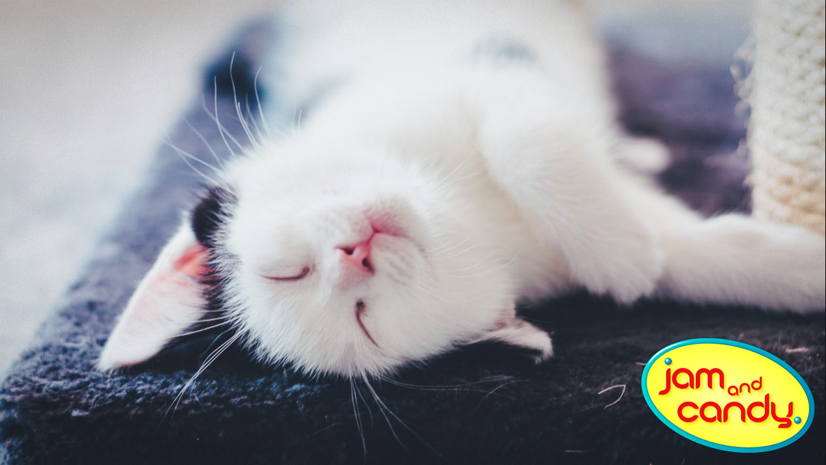 Mew Year's Resolution