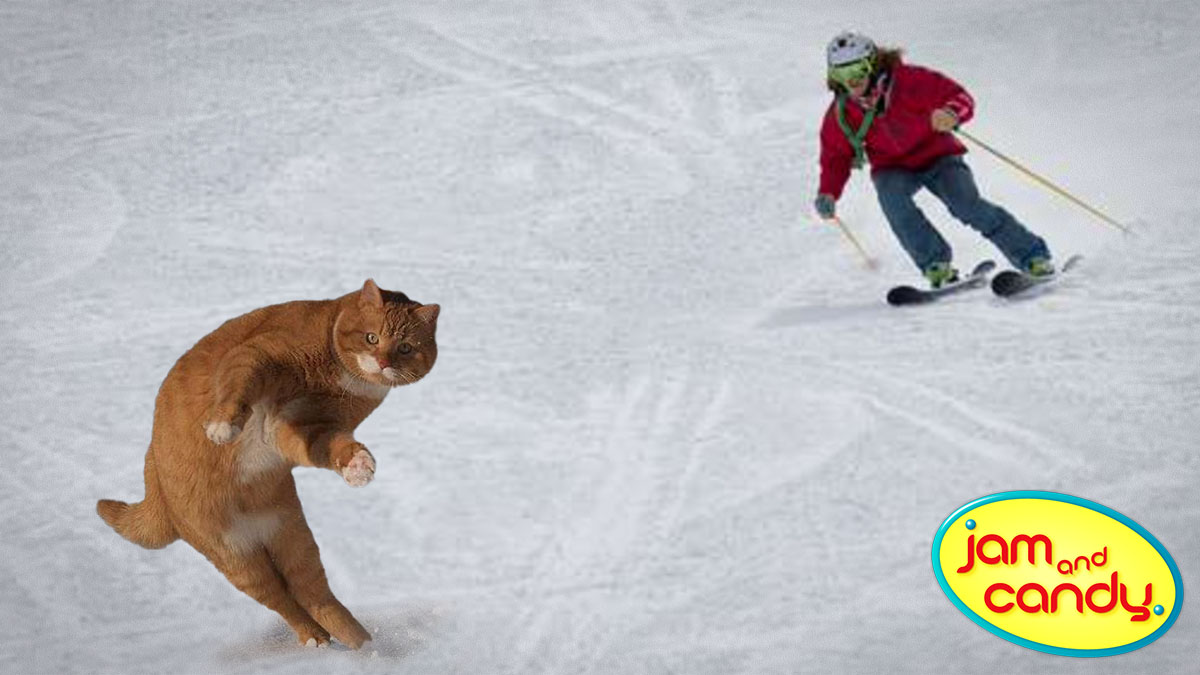 The meowntains are calling