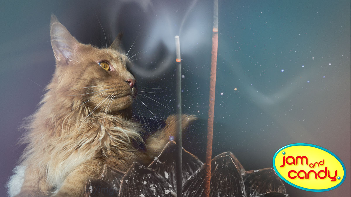 The magical mind, so gentle and kind