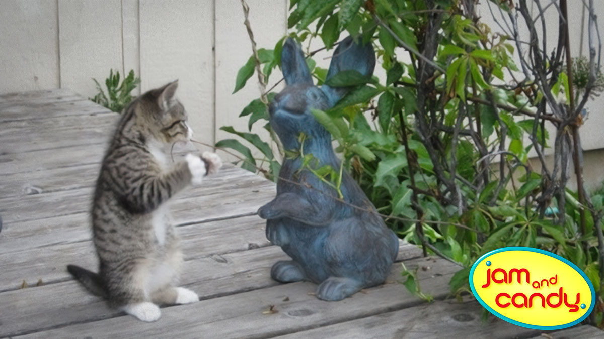 Fly like a butterfly, hop like a bunny