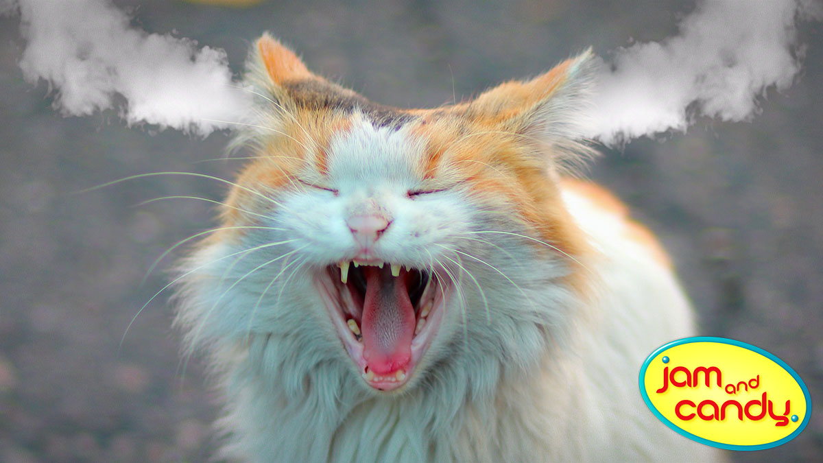 March is National Sauce Month