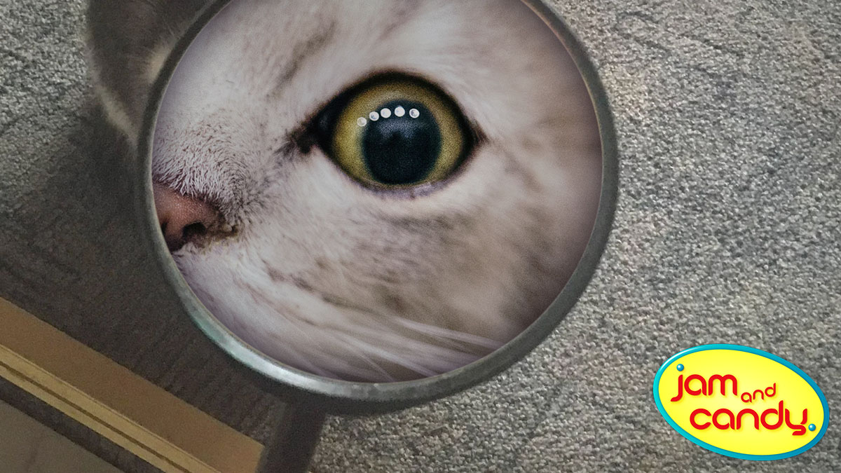 I spy with my little eye