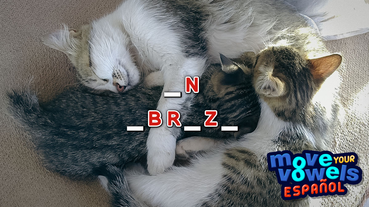 Move Your Vowels en Español