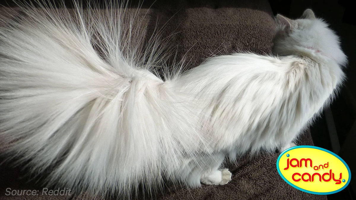 Something in the air