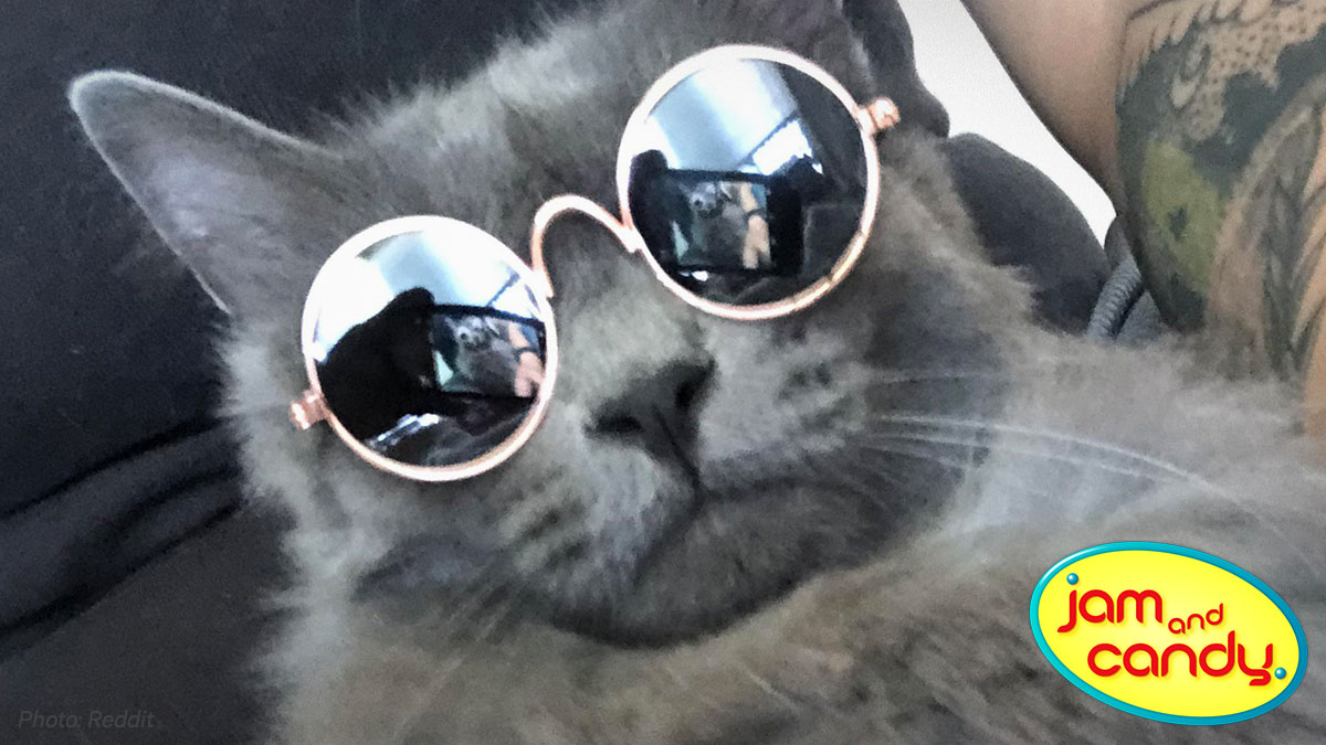 National Sunglasses Day