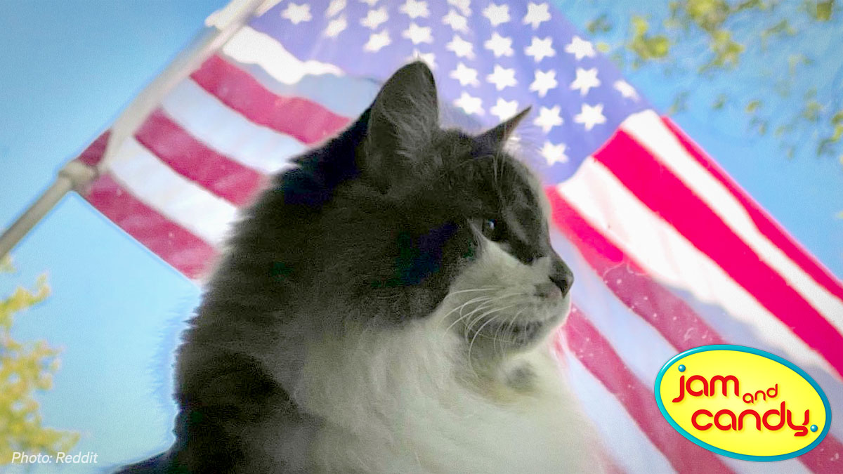 Happy 4th! Here's to a more perfect Union.