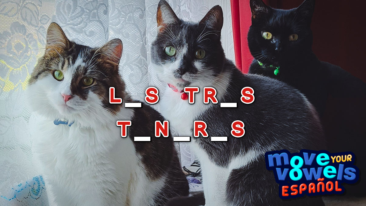 Move Your Vowels en Español