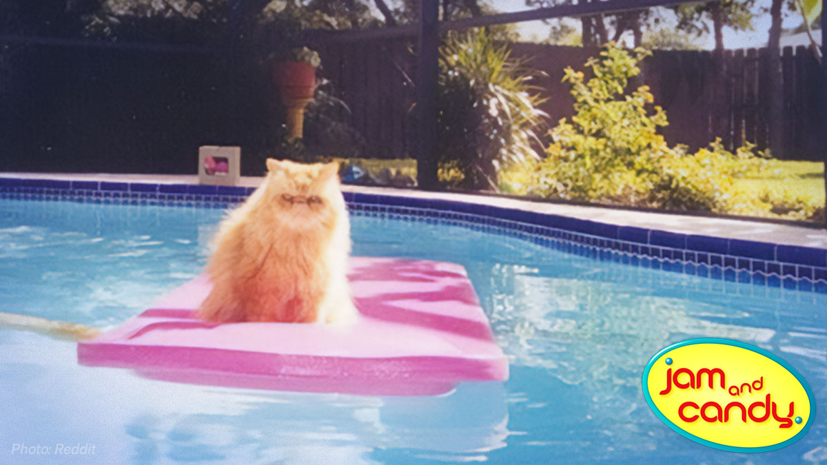 Cherish every meow-ment.