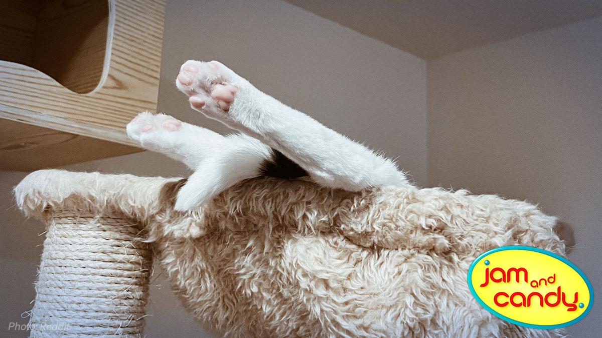 National Relaxation Day