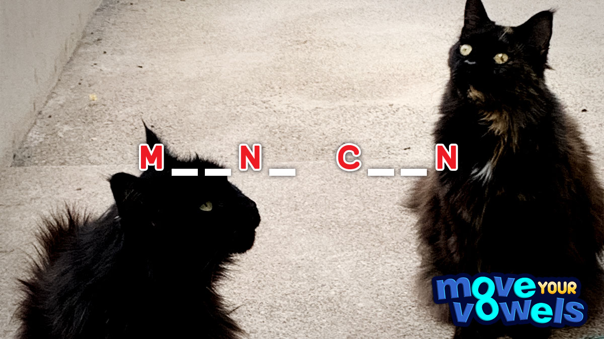 Move Your Vowels Mini