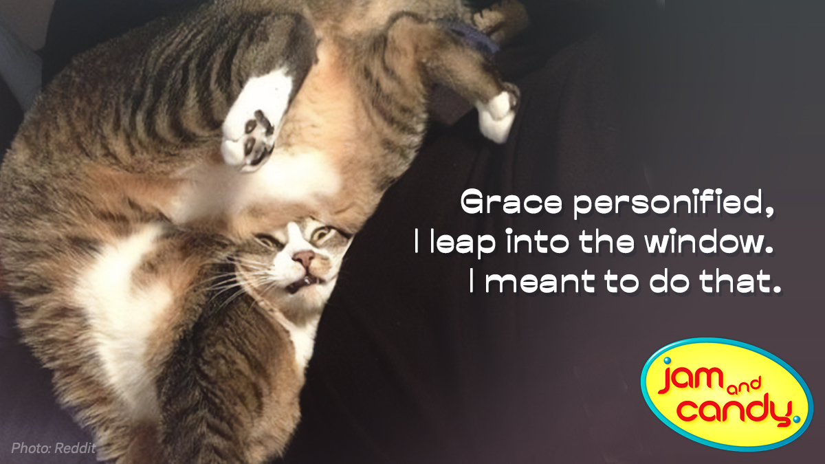 A few haikus for Poet's Day.