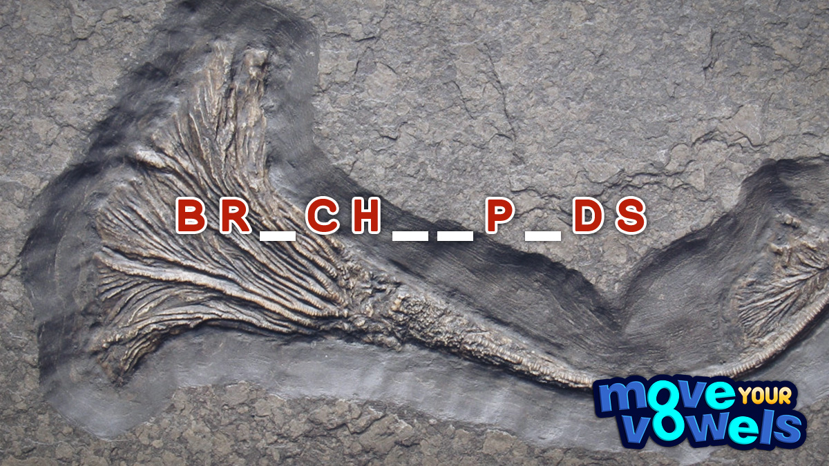 Move Your Vowels Mini