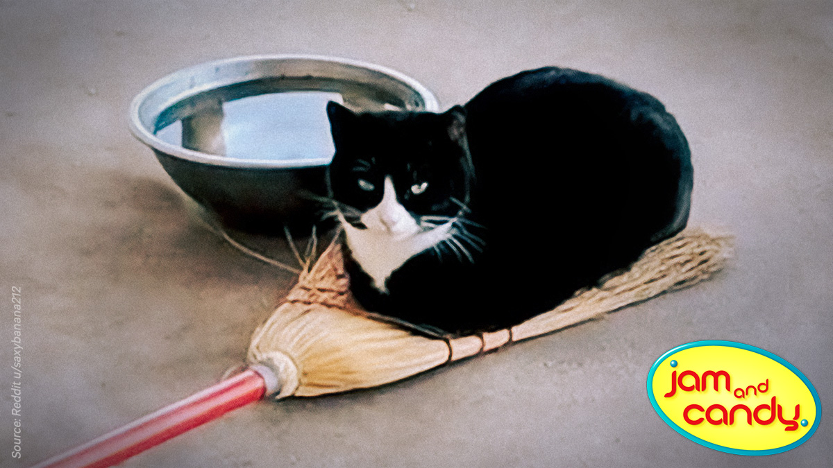 My other broom is a car.