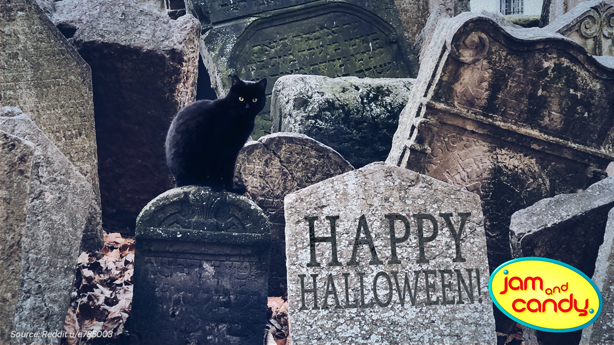 Happy Halloween!