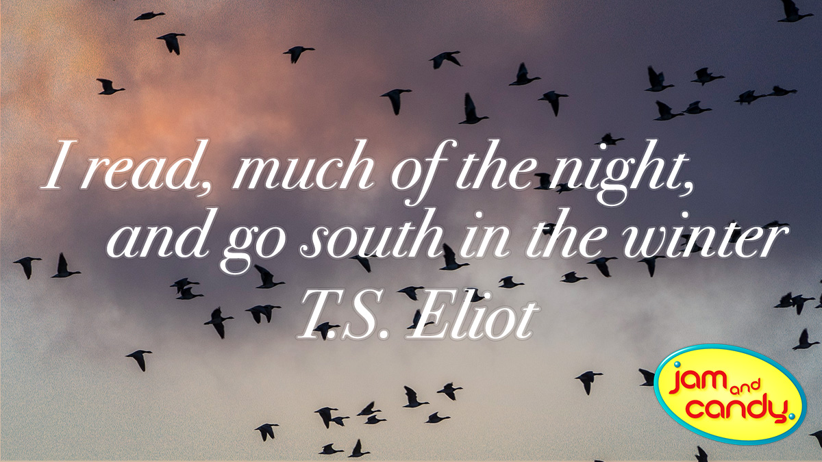 It's time to curl up with a good book