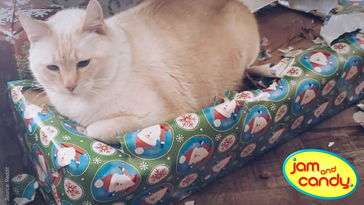 All they really want is the box