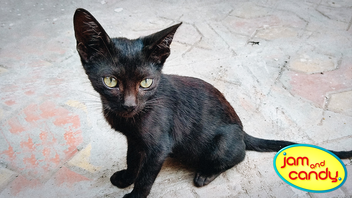 Happy Friday the 13th!