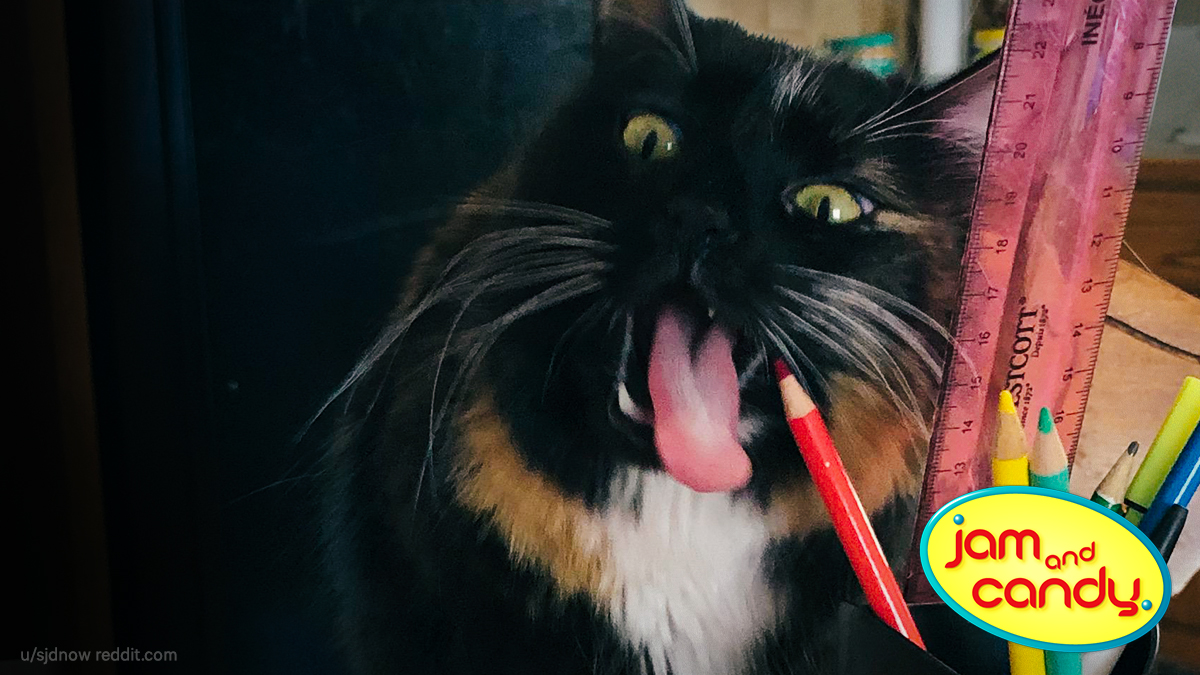 Somebody get this cat a scratch pad!